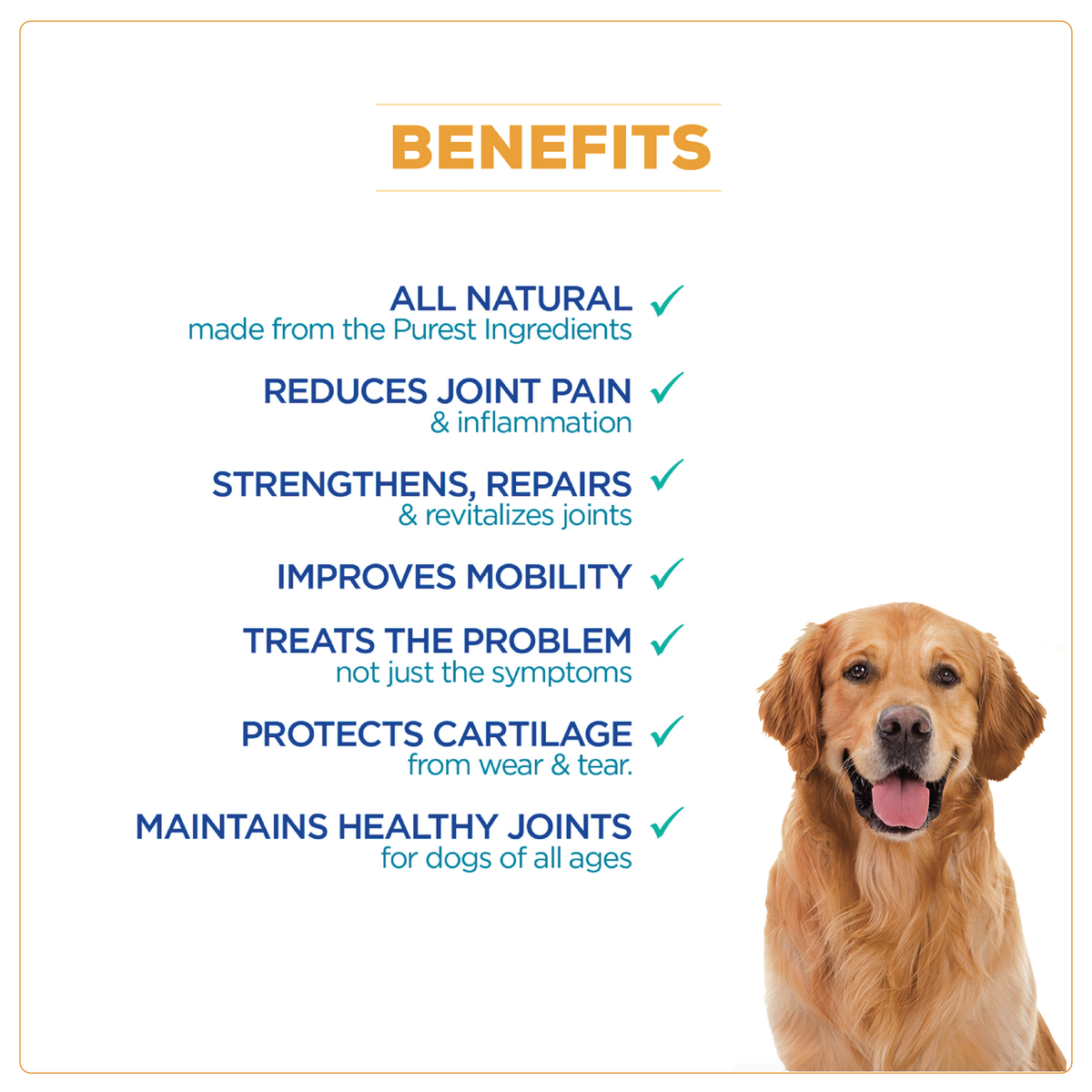 benefits of WagWorthy Naturals hip and joint supplement for dogs