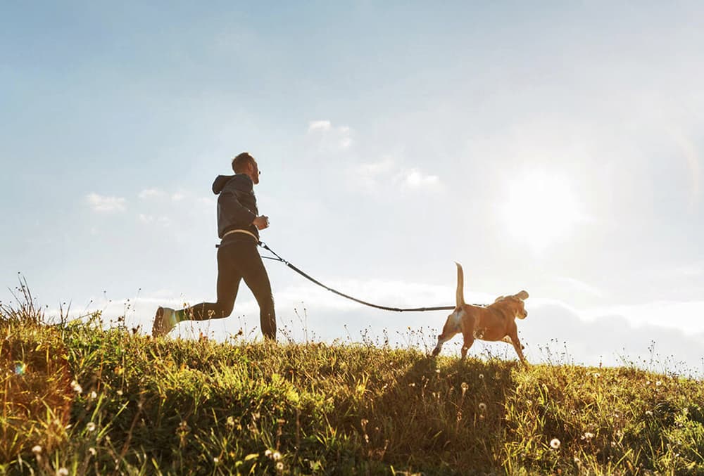man and dog running in the grass and uses WagWorthy Hip and joint supplement to help with mobility