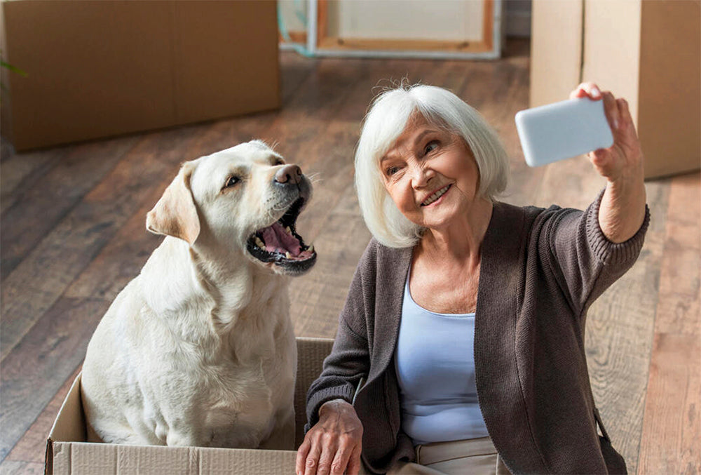 Woman touching his sleepy senior dog at home who uses WagWorthy Naturals to naturally reduce irritation, pain, and discomfort