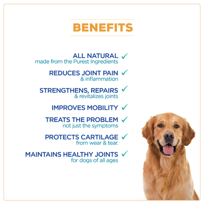 Advanced Formula Hip + Joint Supplement for Dogs - WagWorthy Naturals